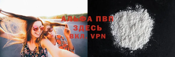 прущие грибы Нязепетровск