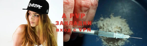 прущие грибы Нязепетровск