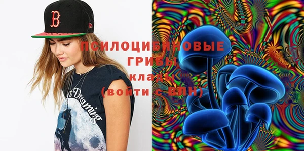 прущие грибы Нязепетровск