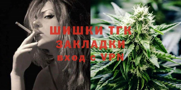 прущие грибы Нязепетровск