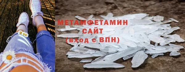 прущие грибы Нязепетровск