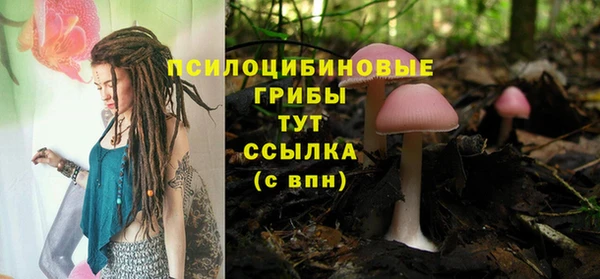 прущие грибы Нязепетровск