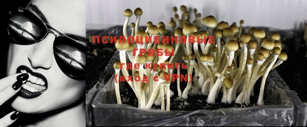 метадон Нягань