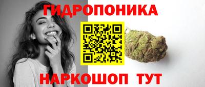 a pvp Заводоуковск