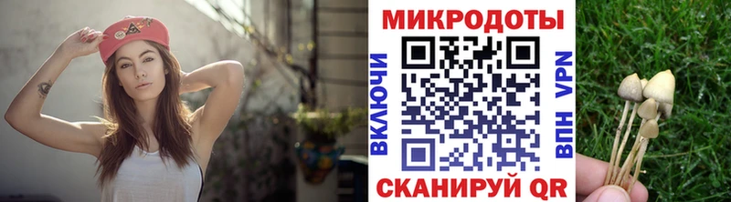 блэк спрут маркетплейс  Павлово  Галлюциногенные грибы мицелий 