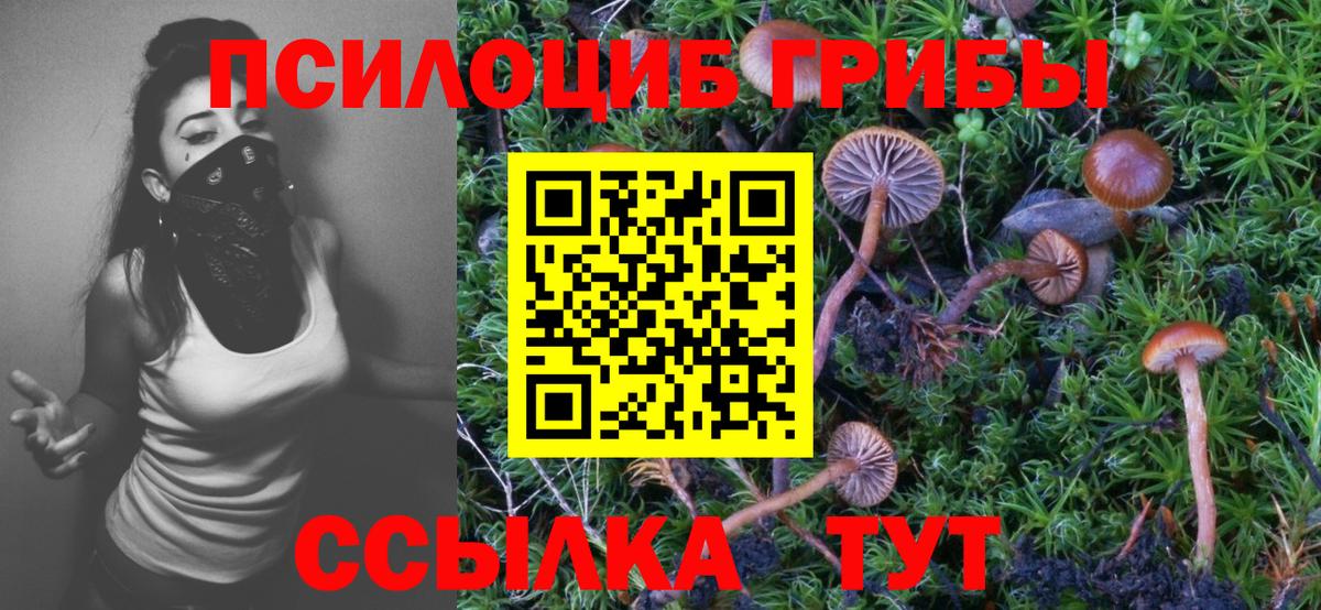 Псилоцибиновые грибы Psilocybe Павлово