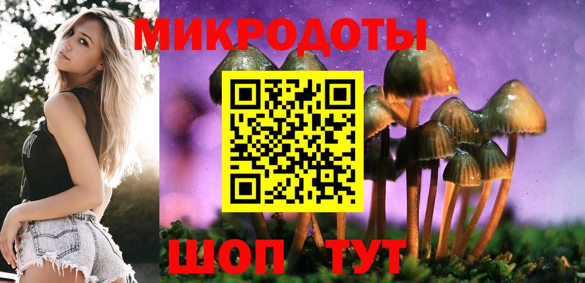 Павлово  Псилоцибиновые грибы MAGIC MUSHROOMS  Вход с VPN 