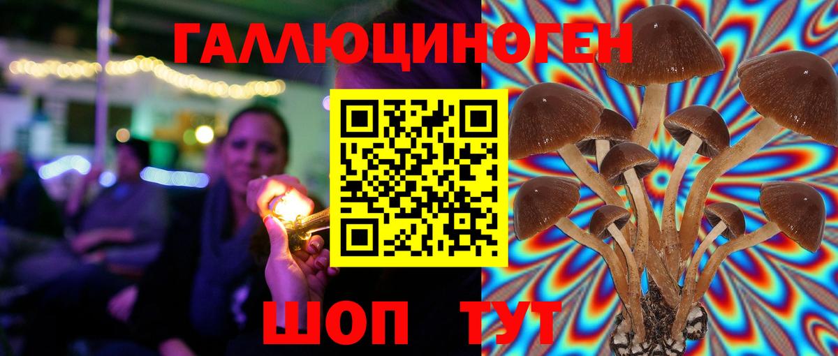 Псилоцибиновые грибы Magic Shrooms  Павлово  Галлюциногенные грибы прущие грибы 